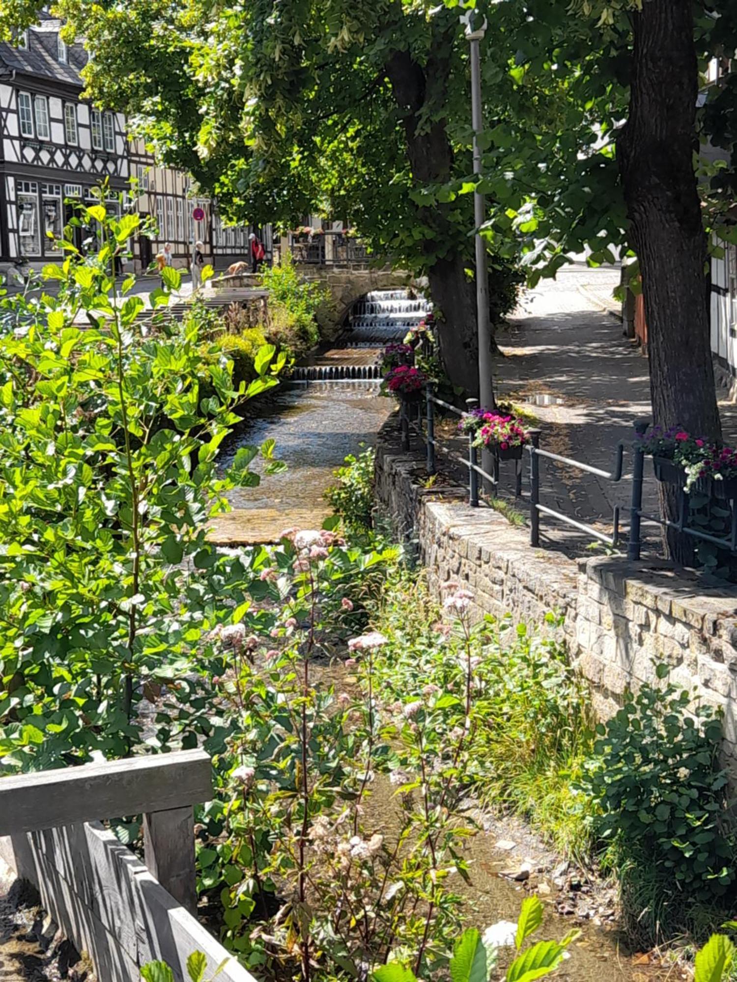 Ferienwohnung "Beste Lage" Altstadt Mit Terrasse กอสลาร์ ภายนอก รูปภาพ